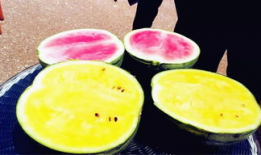 云南昆明吃瓜爆料,揭秘云南美食圈的那些事儿